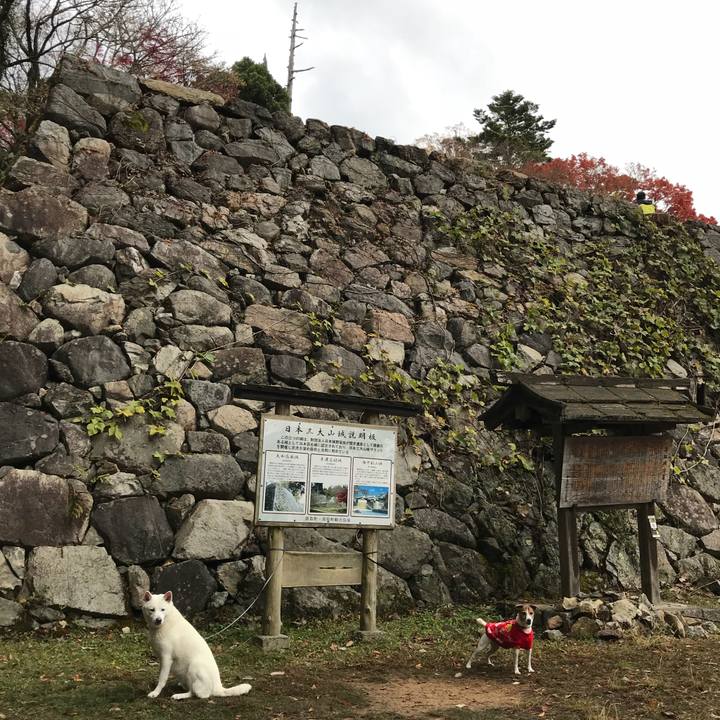 94acfe0c 77d6 436a b78a 9d6babb8657c 1511065414530