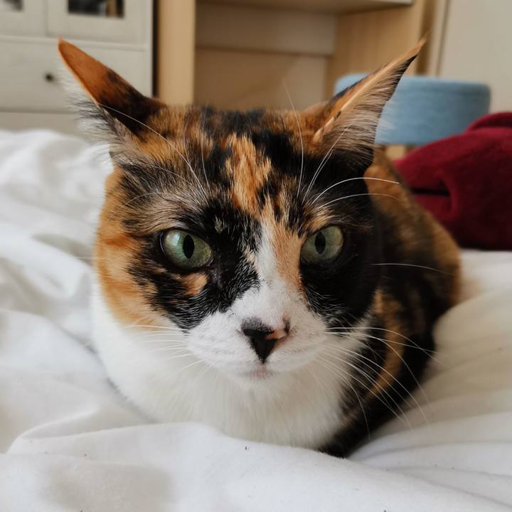 94ad2a4e b018 424b b3d3 91019db8bc4a 1649822940058