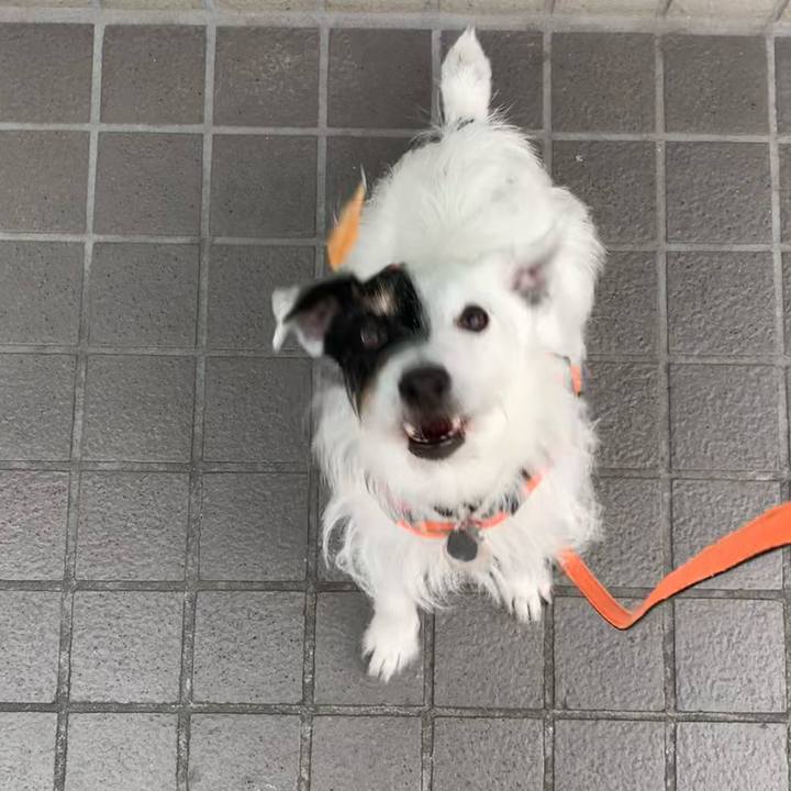 94ad5392 ae03 4b50 9cd4 22bb777a1878 1716768863325