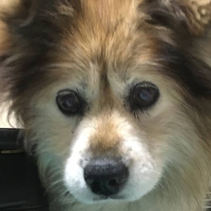 94ad6b0c 3fc3 48f7 ba86 0c7ee24c1583 1606416730120