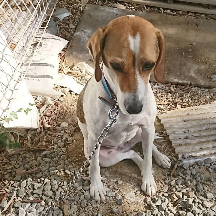 94ad88cd 2d0c 47ba 96ff 4836f7ee6595 1570588815218