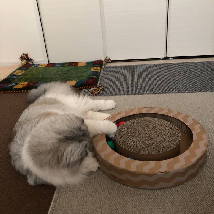 94adece2 3dec 488f 9821 3ebc244f8bee 1611182533411