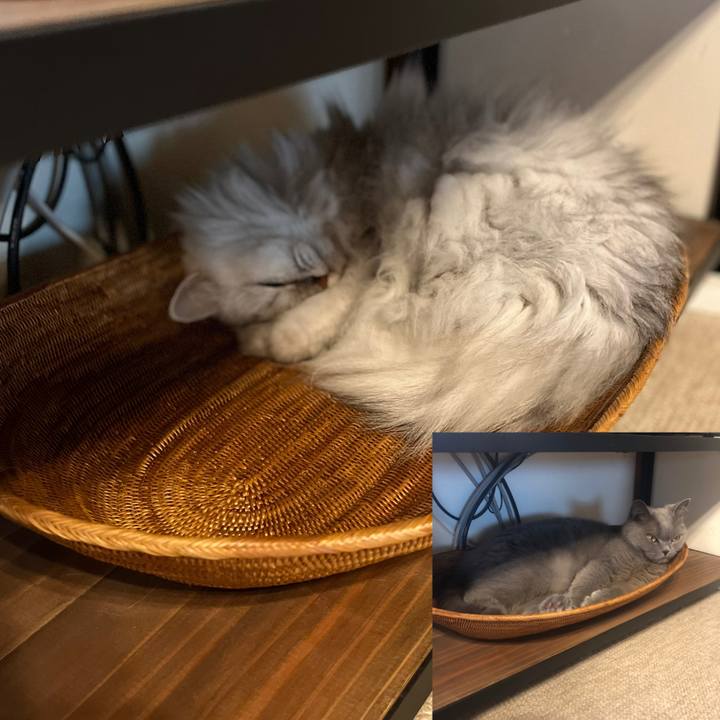 94ae316c 720a 436f a205 f403892a21f1 1632631369158