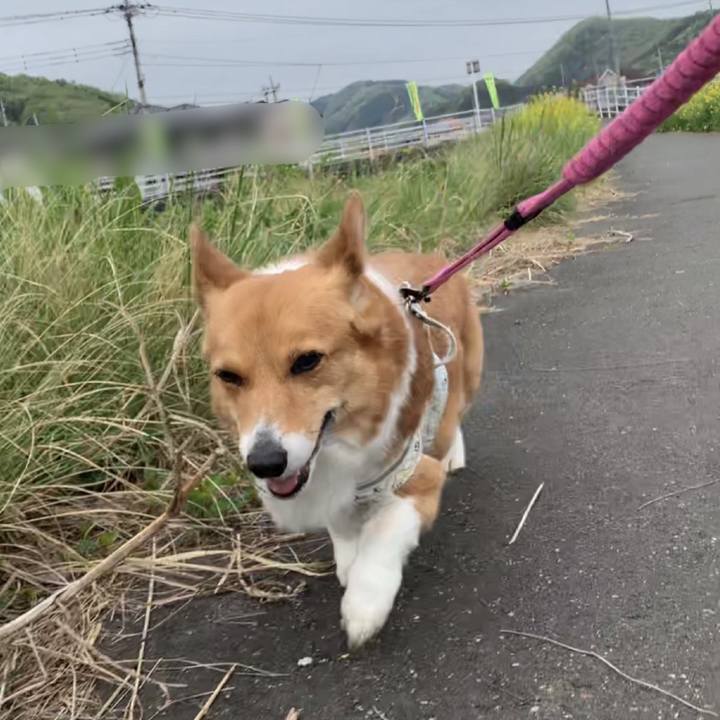 94ae49d1 cdfe 495b 9b1f b6794bc2e6ba 1649901896517