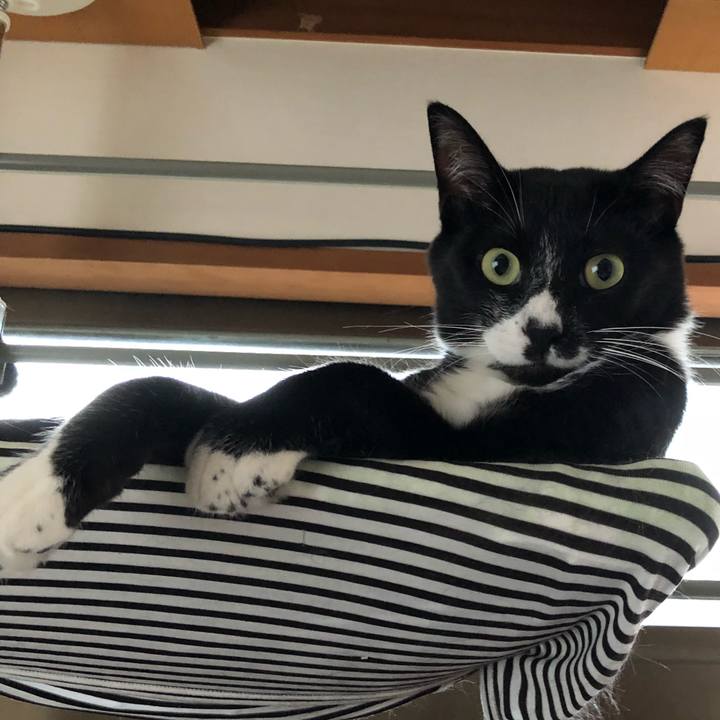 94ae60d6 d4b6 4ae8 ad11 fd308791a8a0 1533181510066