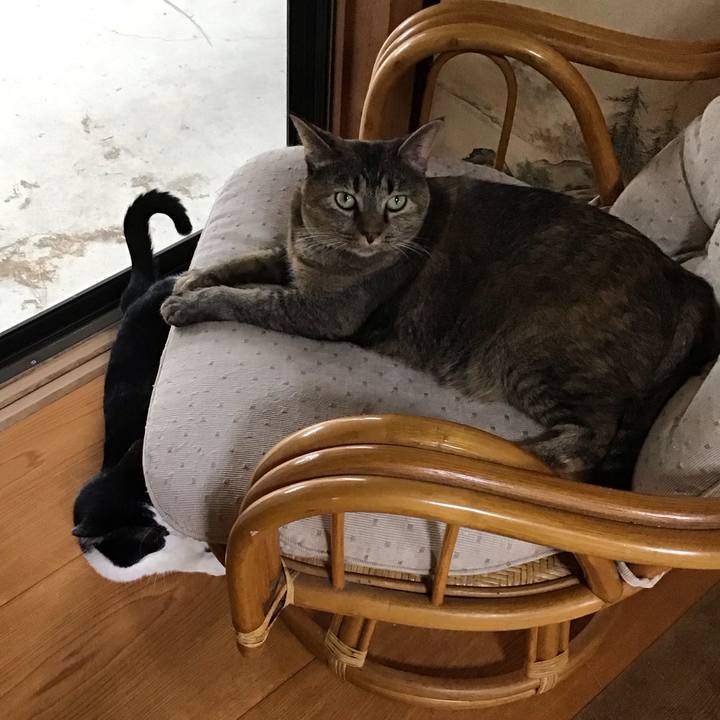 94aed1e2 2719 47d6 84ae 42bd768f4a99 1756812598775