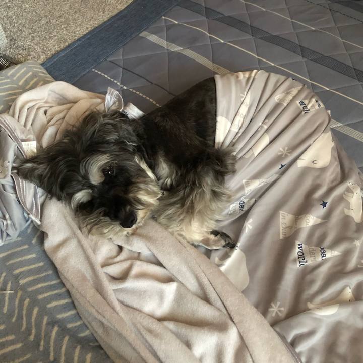 94aef545 214c 4889 9927 280fdc14f5a9 1693750090633