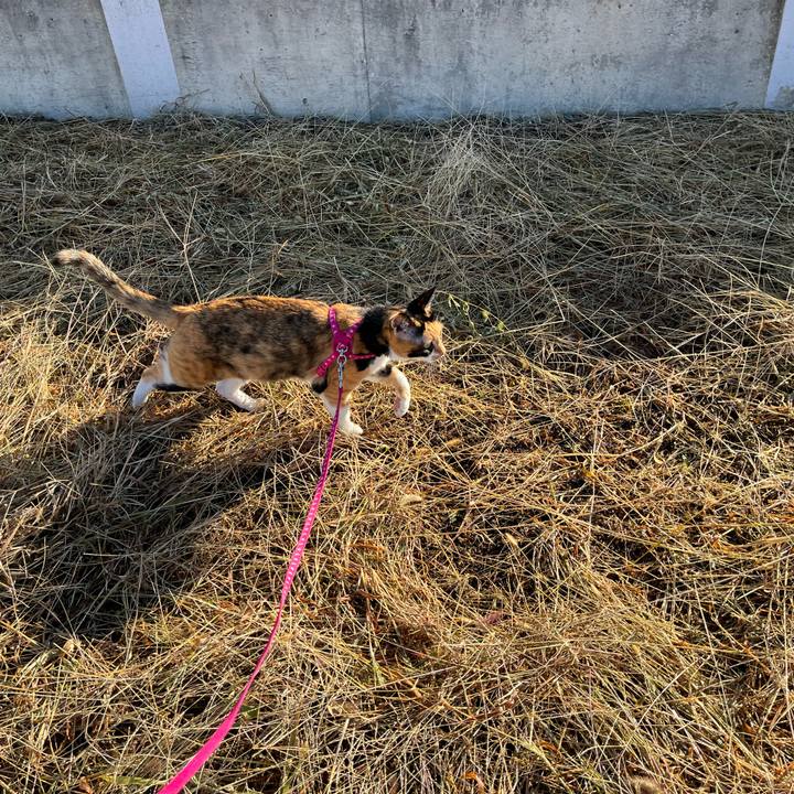 94af0026 2b4d 49f2 b637 8963cd0f159c 1664583558304