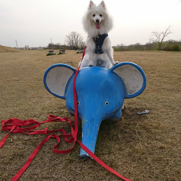 94af00d6 53af 4fe3 80a5 377267ae4ca7 1584864743859