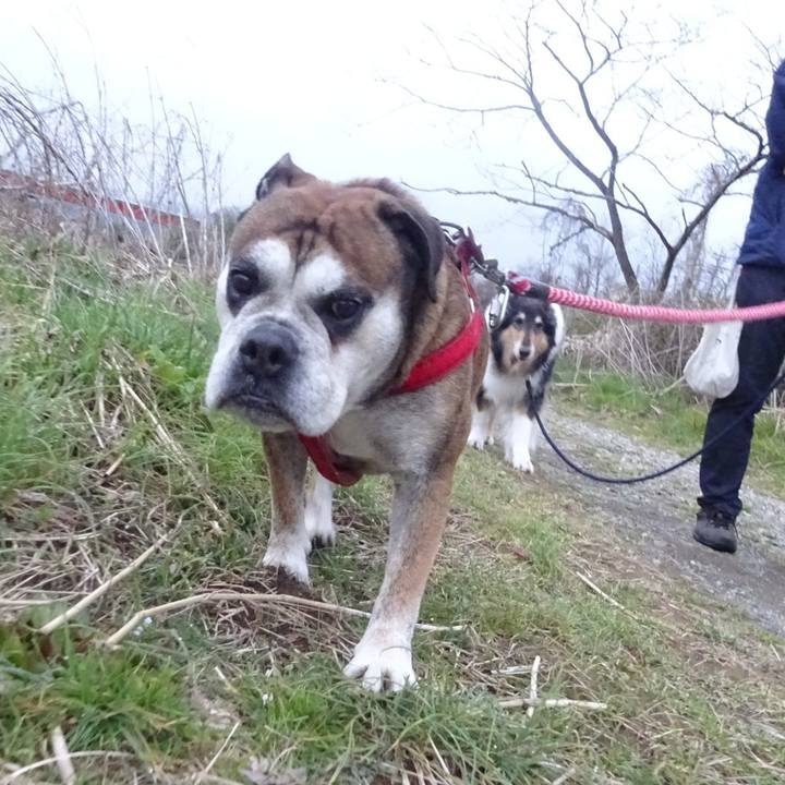 94af35f0 da53 4f66 a91d 58cf6538ffa1 1582719777650