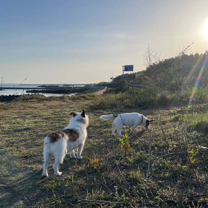 94af39f7 0496 45cd ab1e 335be2513064 1714773447234