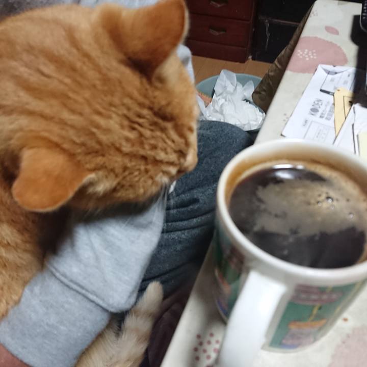 94af4cf7 ba2f 4b94 8281 03dba7d663ff 1608061341968