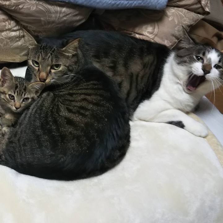 94af695c 317e 4aba 89fe 24030522b5af 1635154764342