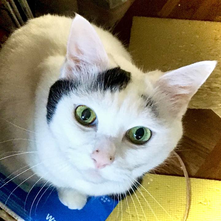 94af9d30 a184 4842 a498 64267fb4a7e4 1572505604573