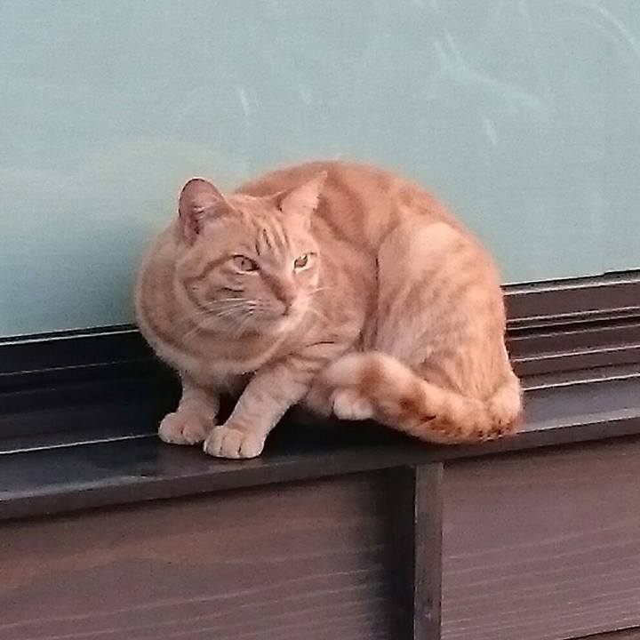 94afa1bd 7941 4a29 b005 bb790088289b 1529391585625