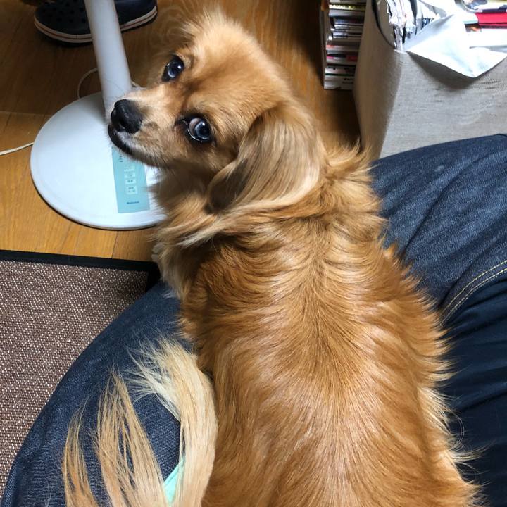 94afe1d2 e925 484e bcef 2ee043ca38d1 1532639176989