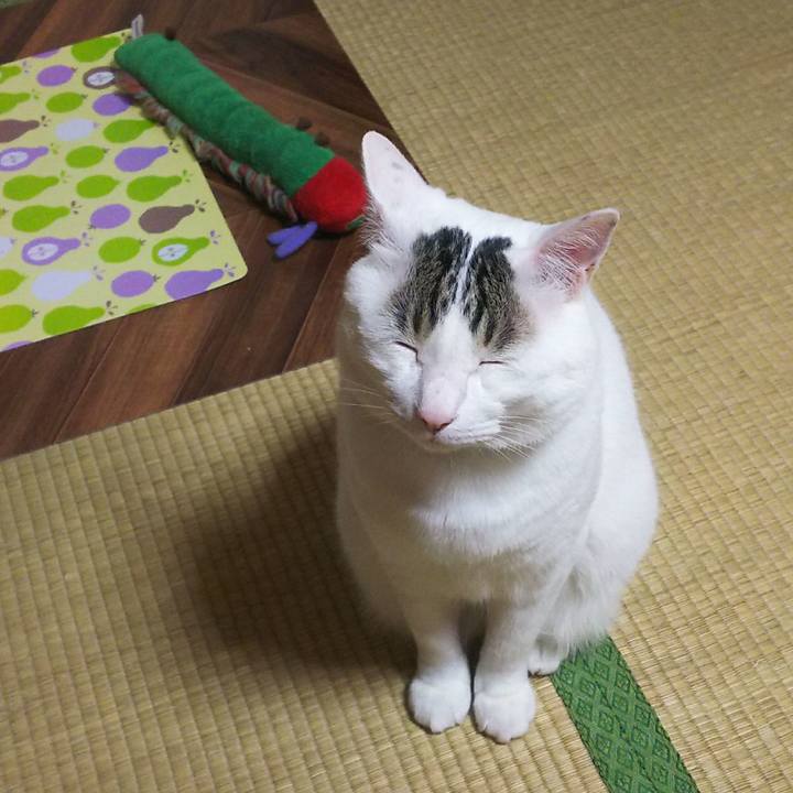 94b0304c 34cd 4081 9885 fdaf784a2205 1527088205577