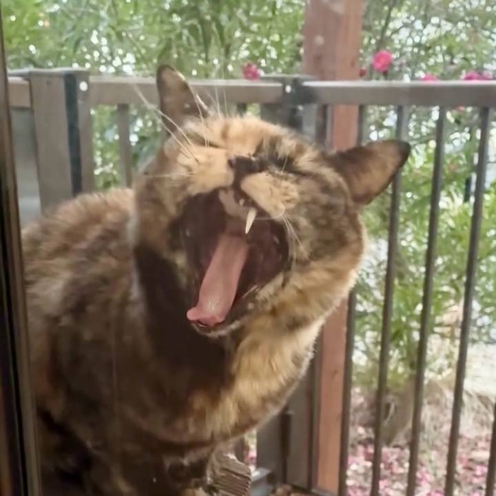 94b048fd 1515 4117 94f6 881c6af8a0b1 1769081757906