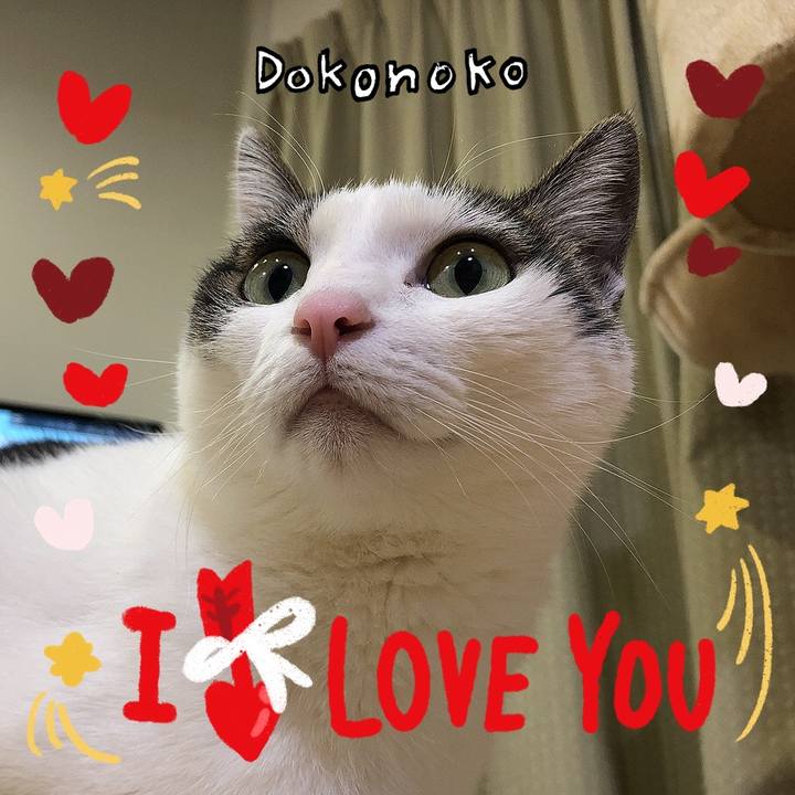 94b08687 eeb6 4bef 9ef8 6e0ddbccd290 1707136587208