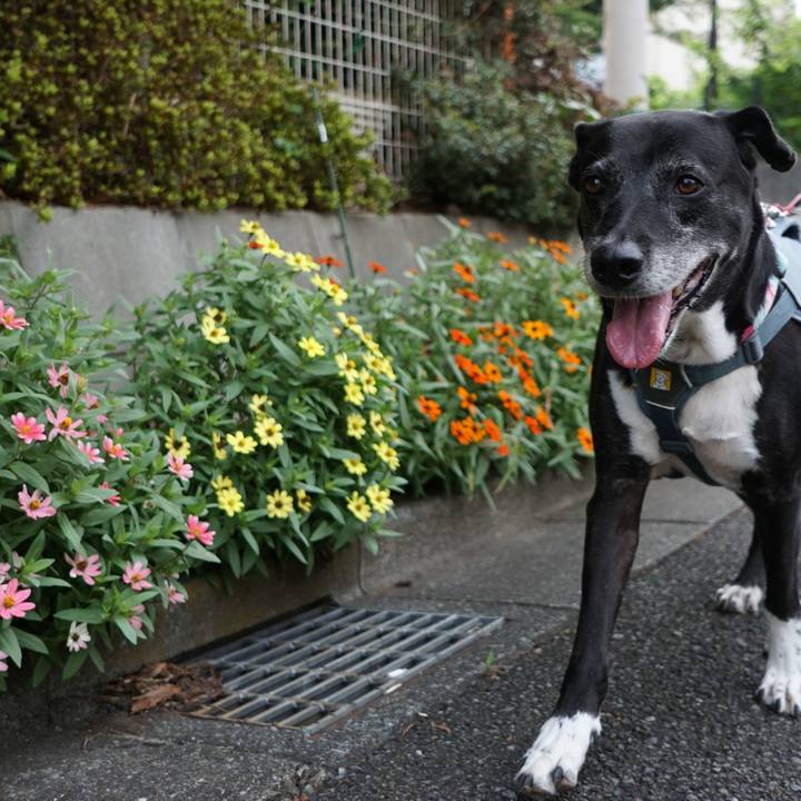 94b095b6 6ae4 4311 ada6 5df6d8e13d12 1759532447429