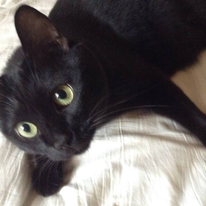 94b0ce11 df6f 4d2c 9608 65ca29c58b67 1507679192789