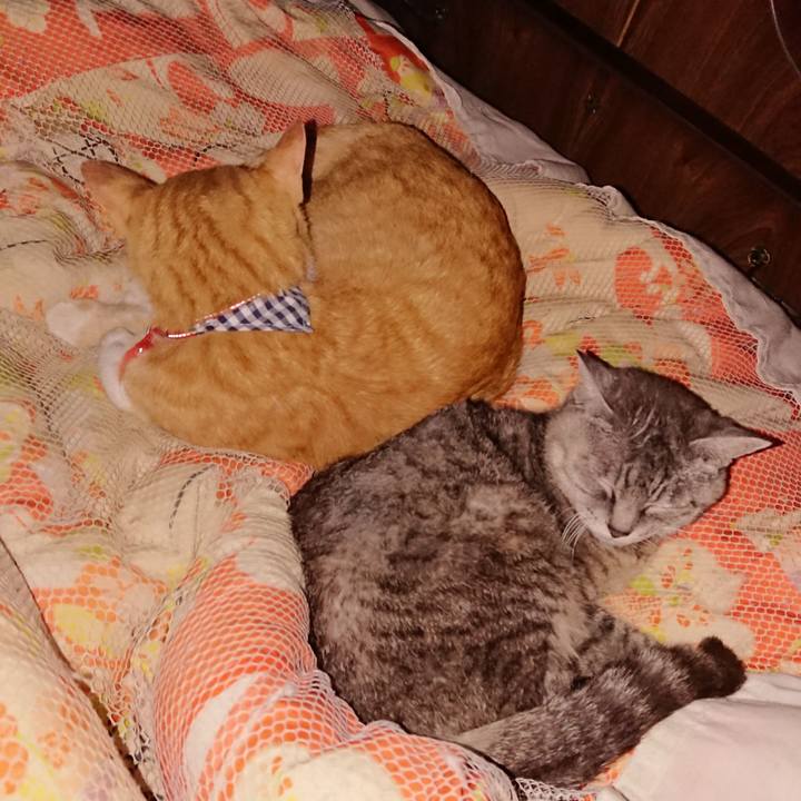 94b0d17c fd1d 4d05 b31e 45f2e7f8e930 1569080647682