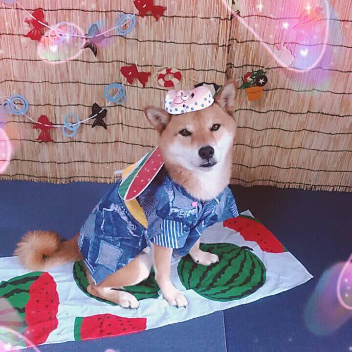 94b0d606 7fb1 4a95 9c92 49ba88a05f2d 1565948769963