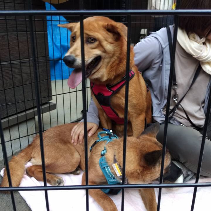 94b12f52 8d77 437f a39a b3b7719d5b16 1570326986320