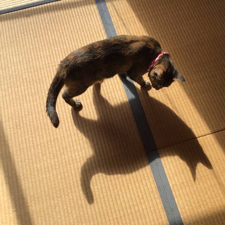 94b15e35 a982 4794 98c6 8dc020510580 1604369011318