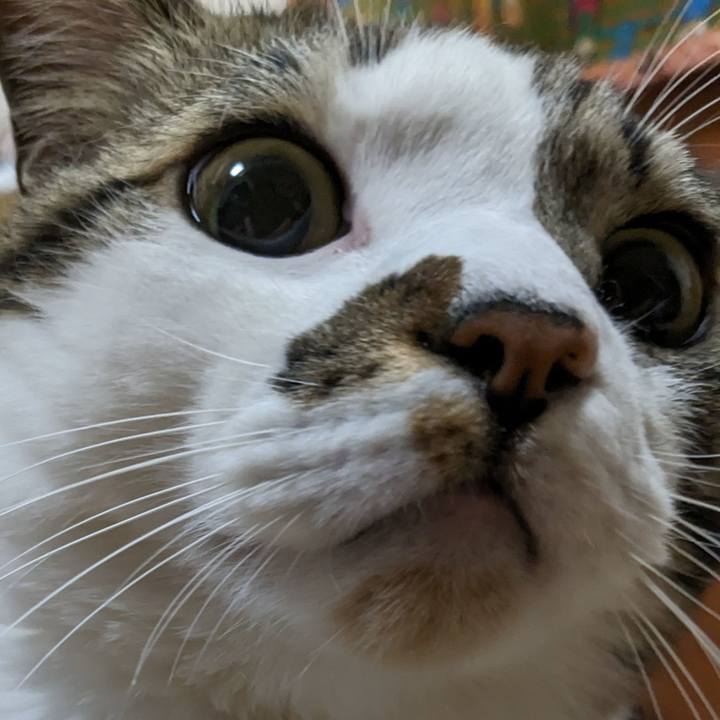 94b1fe54 393a 4c94 9445 250364d12aff 1706750860820