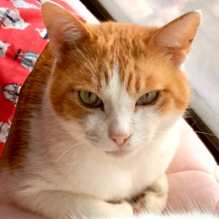 94b26b77 fdef 42f8 b08a 079cc718497f 1580195322370