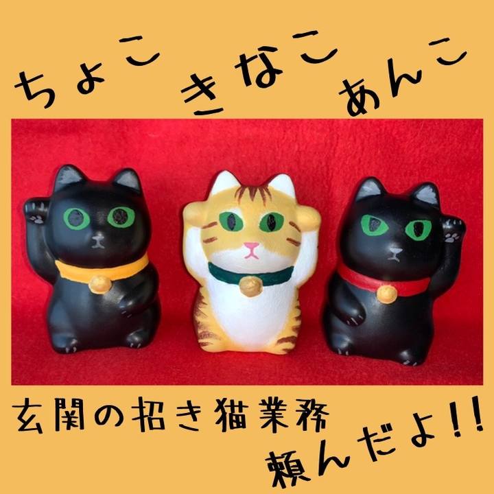 94b271af 81fb 4f04 b7b1 b72b951f9b1f 1643510651739