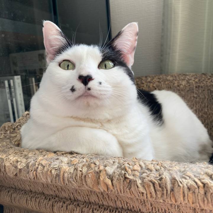 94b29790 b1af 498a 96ee 0f66c0049383 1765775176341