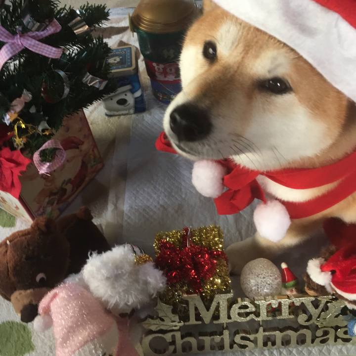 94b2afb9 9c77 419a 8ca3 06b0afde1edf 1545720555461