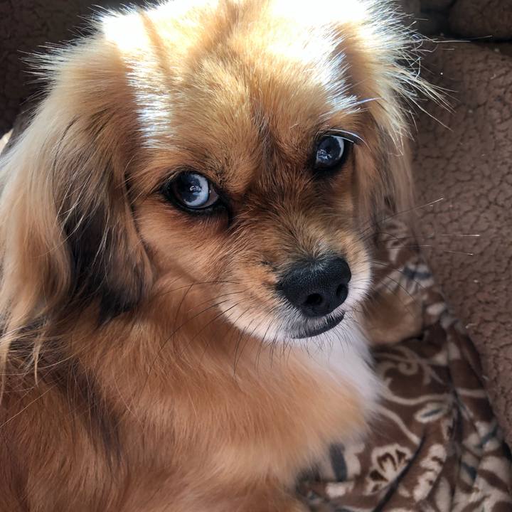 94b2c8b5 99a1 4581 9a2d 72cb4e31301b 1546222361792