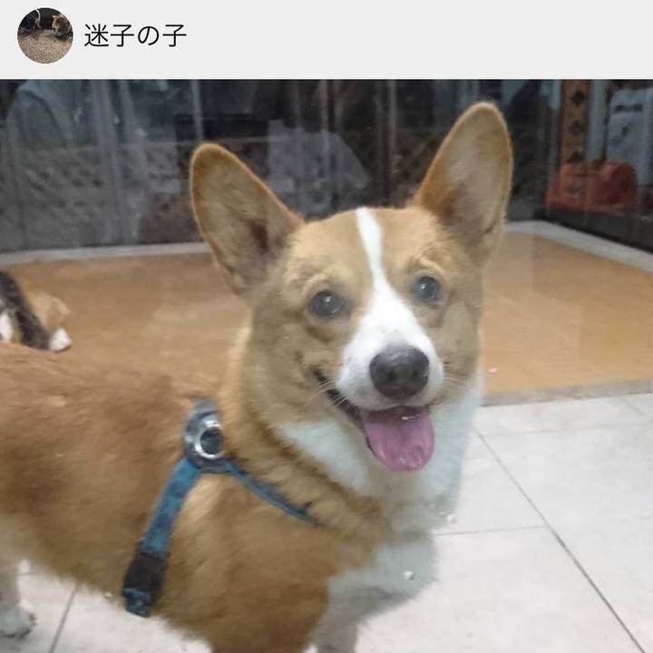 94b2e189 114e 4208 bc84 c5a804b058a8 1559224944943