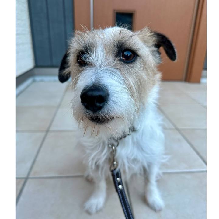 94b36741 4cf0 4a17 8bda 146944888036 1738875525649