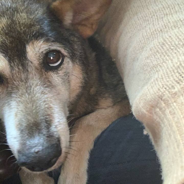 94b378ce 653e 4d7a 82ee ca97048d1e2b 1574425105196