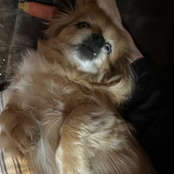 94b3b852 c22d 430a 91f8 91e66fc1b42c 1739567553758