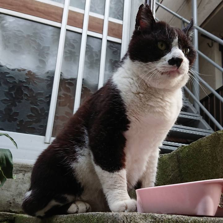 94b3e7d8 3022 48e4 9bc5 60ee94ce4cc4 1684666081063