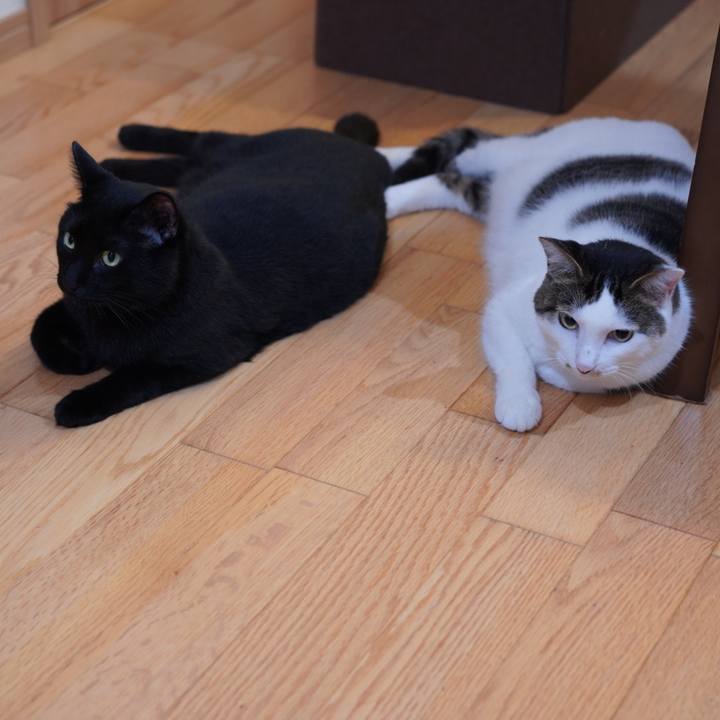 94b3f4ec 65d4 4820 8e12 ad591925bbd4 1627914088233