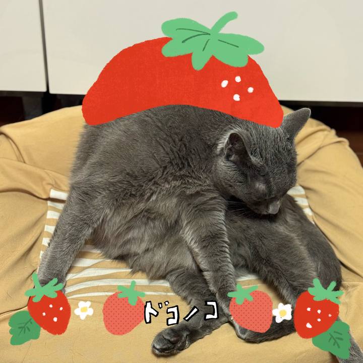 94b3ffb1 f600 4330 af99 39ae7f095087 1775367239744