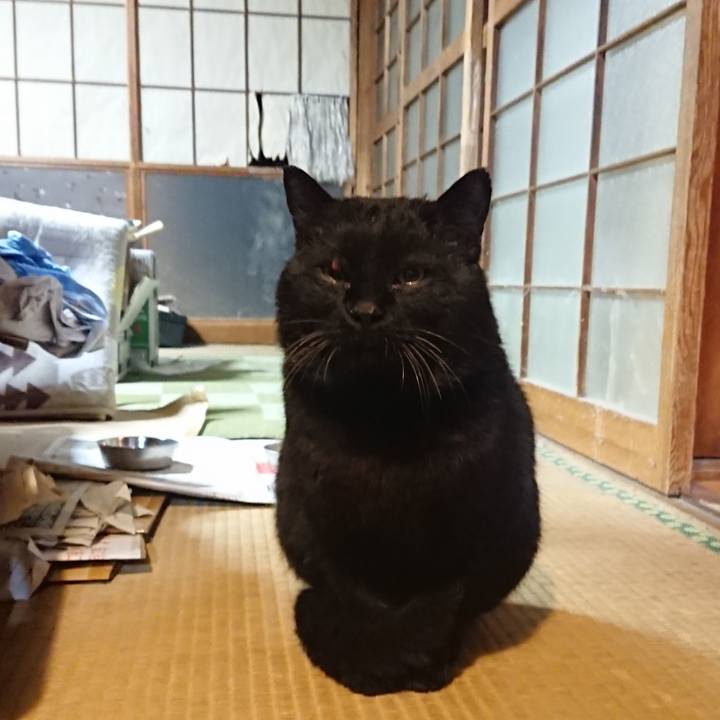 94b44ac9 a414 42ed a537 fc9966c2774b 1615723450599