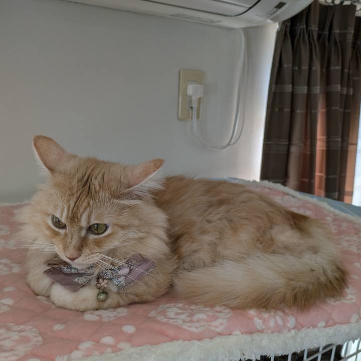 94b4531a f997 455a bd8a 7ccde585eb6d 1728803836579