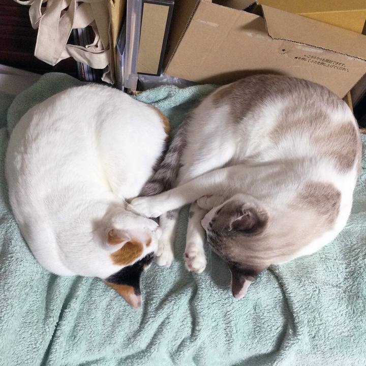 94b512f6 30e8 4b66 ab44 3ca66b87c8d8 1613965692964