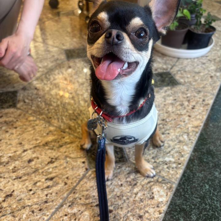 94b540b5 318a 4a45 907f 000bc742623f 1746435817762