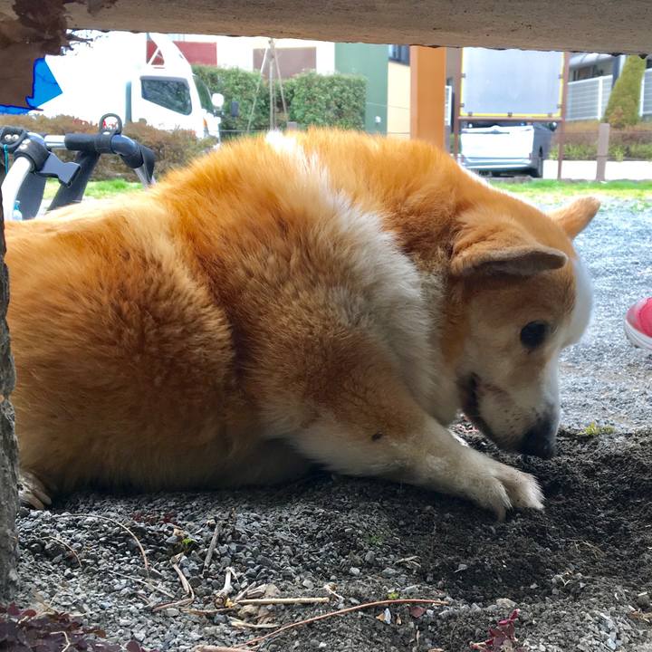 94b550ea 874d 46e5 8684 753174ede7e5 1552314866675