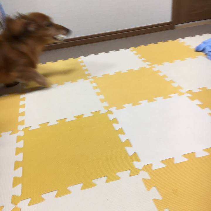 94b56b73 13ec 4617 a84b 68bf4a5576b1 1568990702077