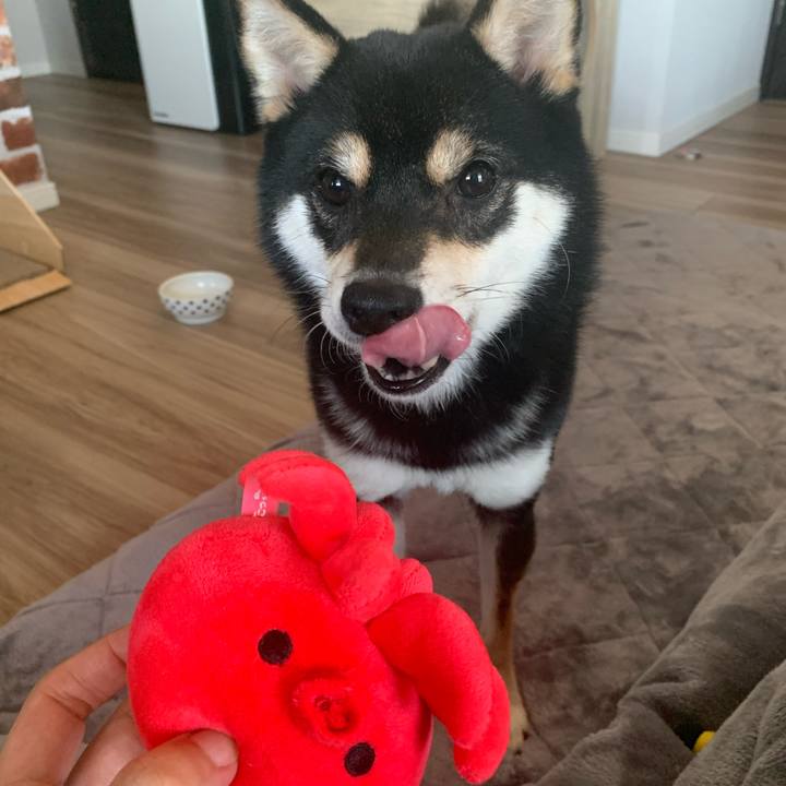 94b59368 b6c7 45ed 9a92 84aaa76b55a1 1674276800700