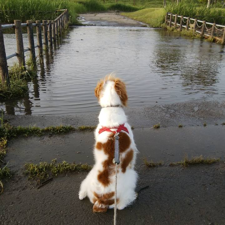 94b5ab1b 4f98 468c 97f7 f7b08b49f6fe 1526386860338